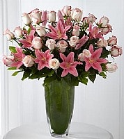 לילות ורודים לילות ורודים